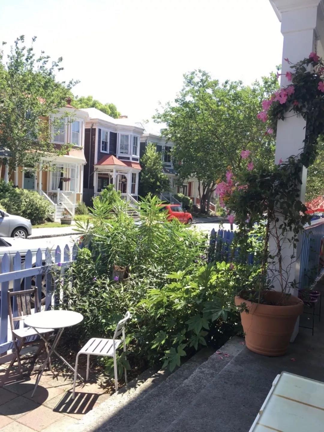 Ivy在塞凡納最愛的餐廳Star Land