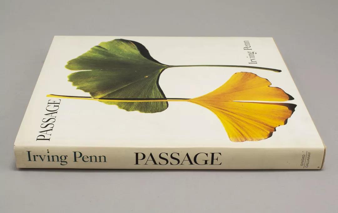 Irving Penn的攝影選《Passage》