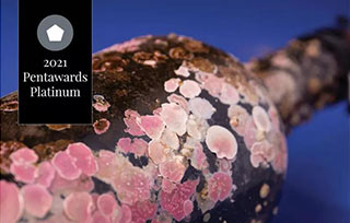 2021年“包裝設(shè)計奧斯卡”揭曉，全球最佳的8款作品長什么樣？