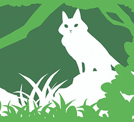 沈姝含 插畫設(shè)計 本科預(yù)科