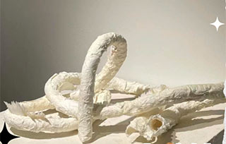 格拉斯哥純藝錄取丨人類有“殼”嗎？我們又如何識(shí)別“人類”？