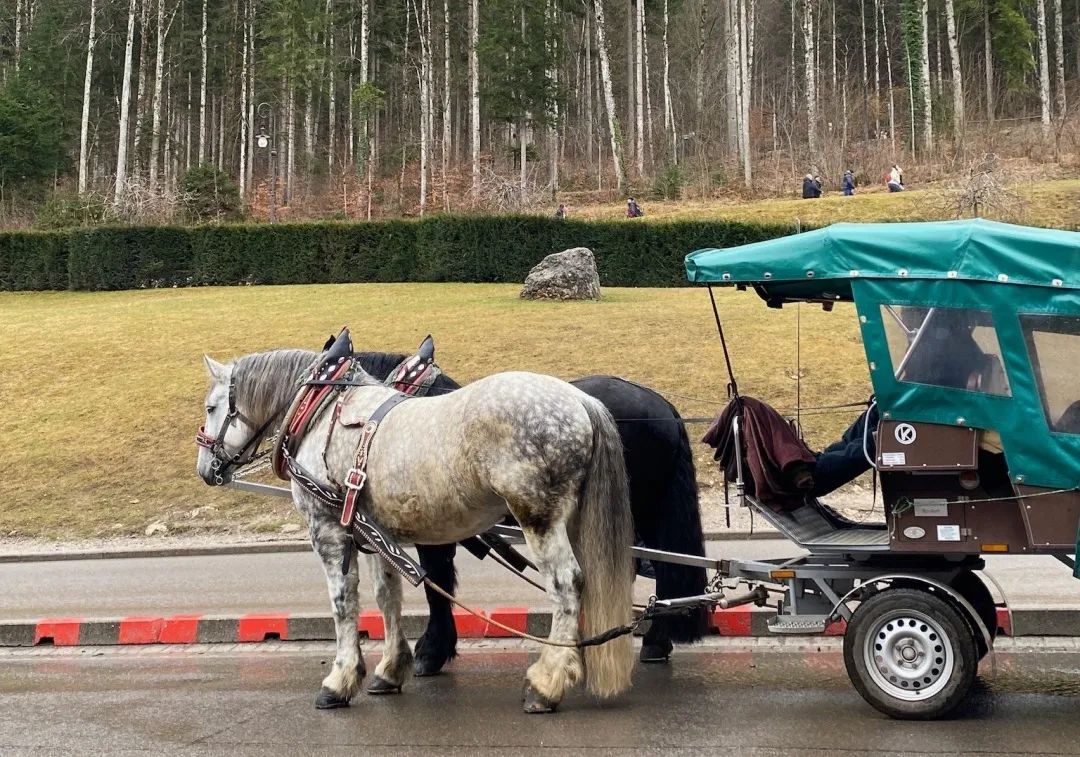 AIVA慕尼黑游學(xué)之旅